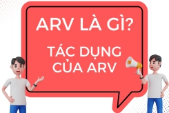 ARV LÀ GÌ? TÁC DỤNG CỦA ARV?