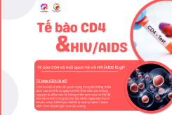TẾ BÀO CD4 & HIV/AIDS  - Tế bào CD4 là gì? và mối quan hệ với HIV/AIDS là gì?