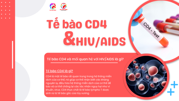 TẾ BÀO CD4 & HIV/AIDS  - Tế bào CD4 là gì? và mối quan hệ với HIV/AIDS là gì?